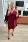 Regal Radiance V-Neck Velvet Dress